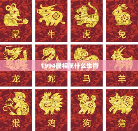 1994屬狗|1994年出生属什么生肖 1994年属狗是什么命